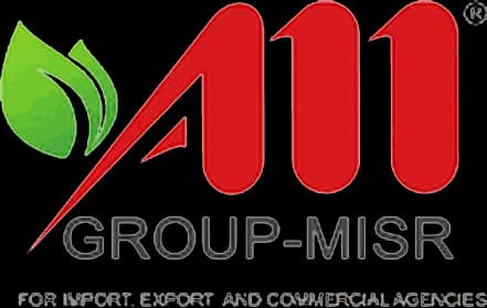 All Group-Misr